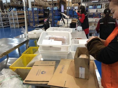 寶時云倉 個性化包裝方案，一站式解決您的物流與倉儲煩惱